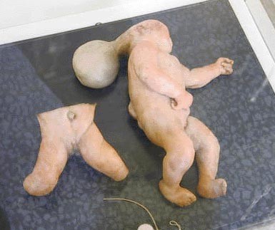 Кунсткамера (не наша) (17 фото)