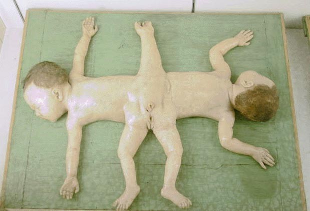 Кунсткамера (не наша) (17 фото)