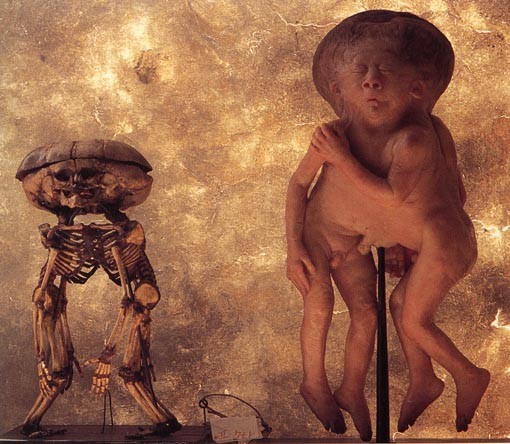 Кунсткамера (не наша) (17 фото)