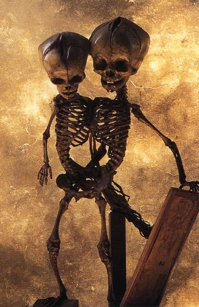 Кунсткамера (не наша) (17 фото)