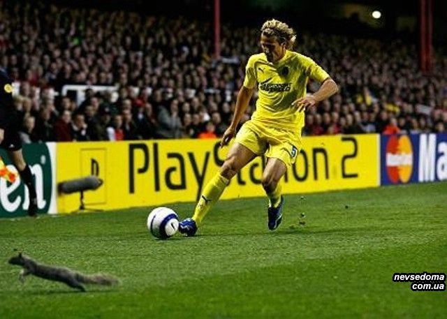 Футбол - ты мир! (150 фото)