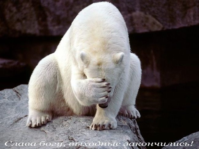 И вот всё сначала (16 фото)