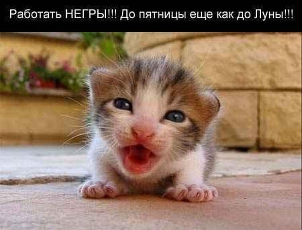 И вот всё сначала (16 фото)