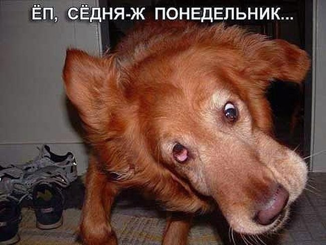 И вот всё сначала (16 фото)