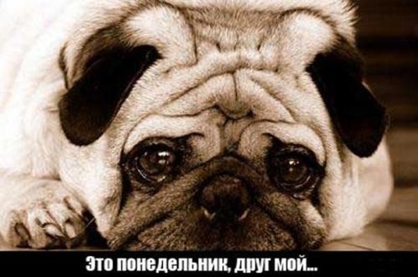 И вот всё сначала (16 фото)