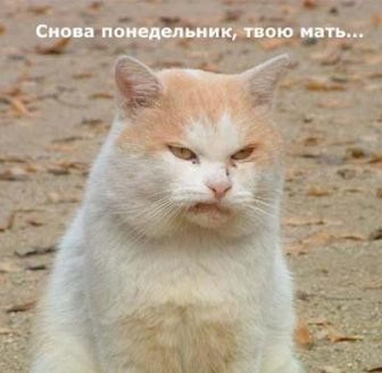 И вот всё сначала (16 фото)