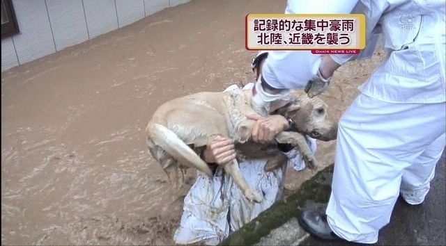 Чудесное спасение (3 Фото)