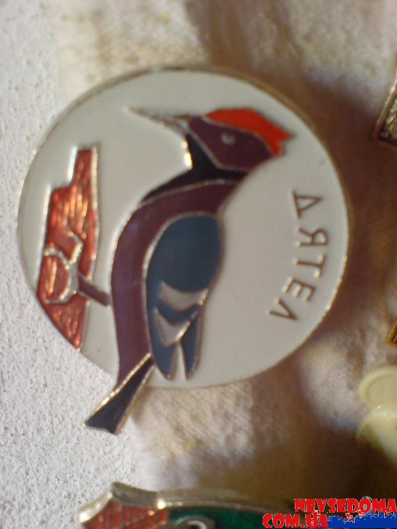 прислал - bogdan