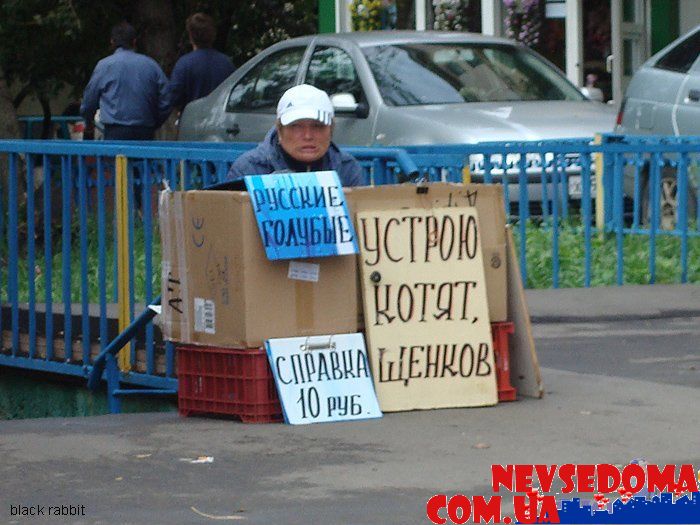 прислал - cdoxnim прислал - cdoxnim