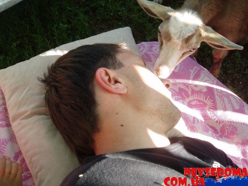 прислал - svetik