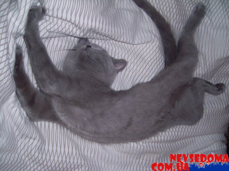 прислал - tanya