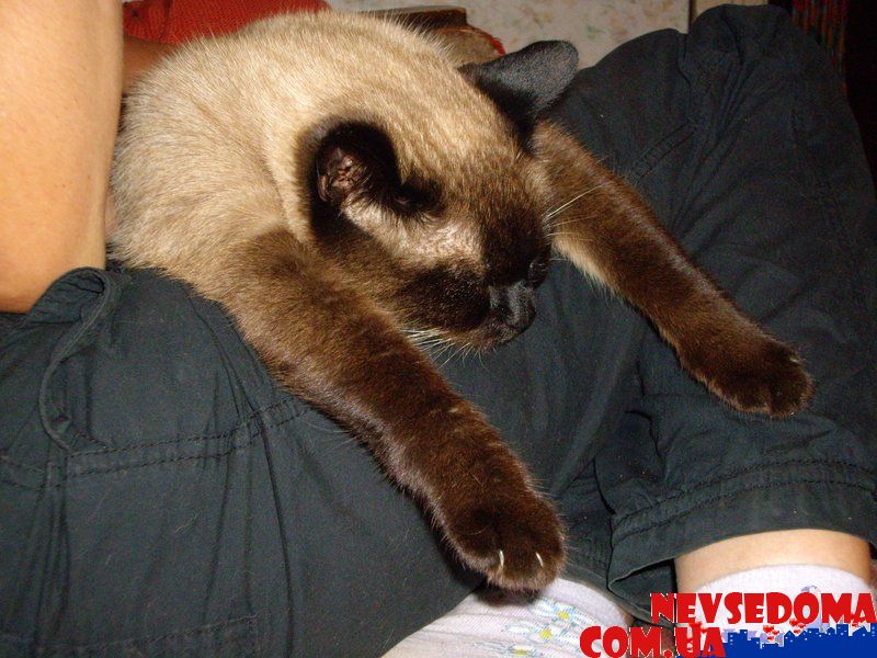 прислал - valdemar