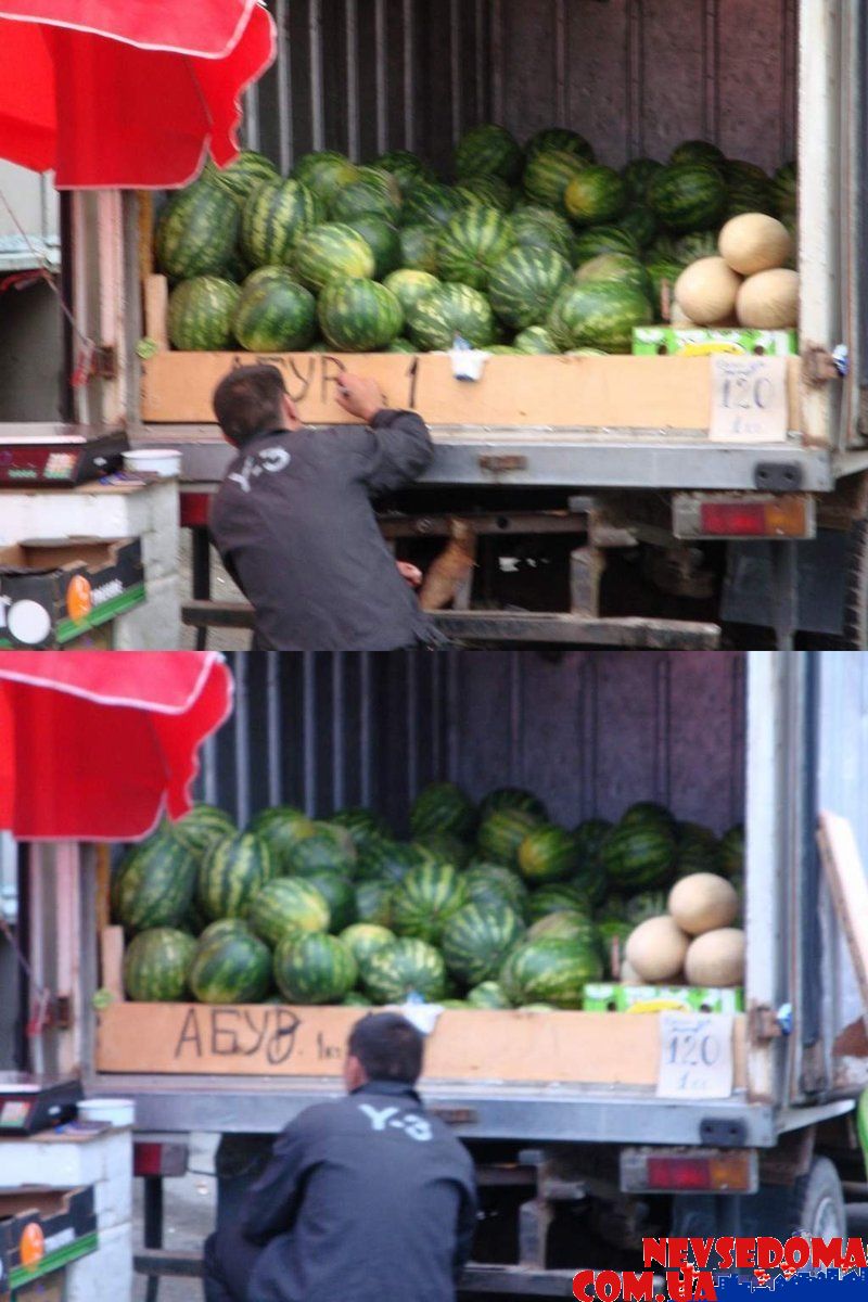 прислал - tirwin