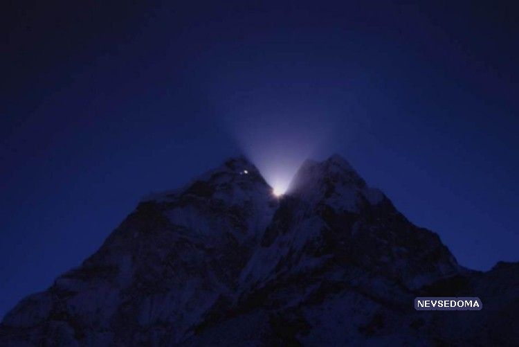 Прикольные картинки (95 штук)