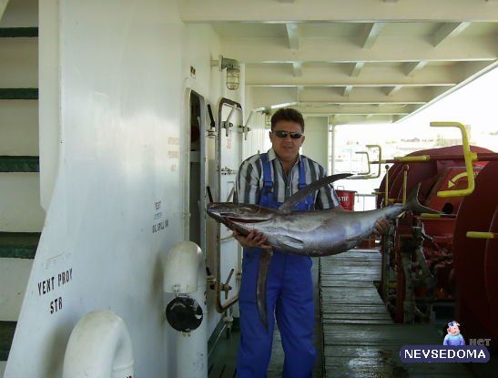 прислал - aleksan