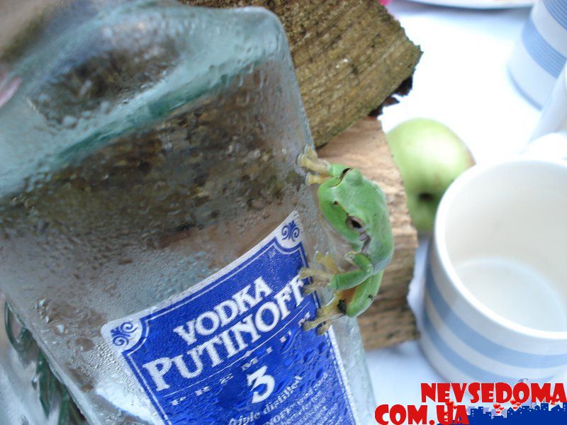 прислал - vmiller