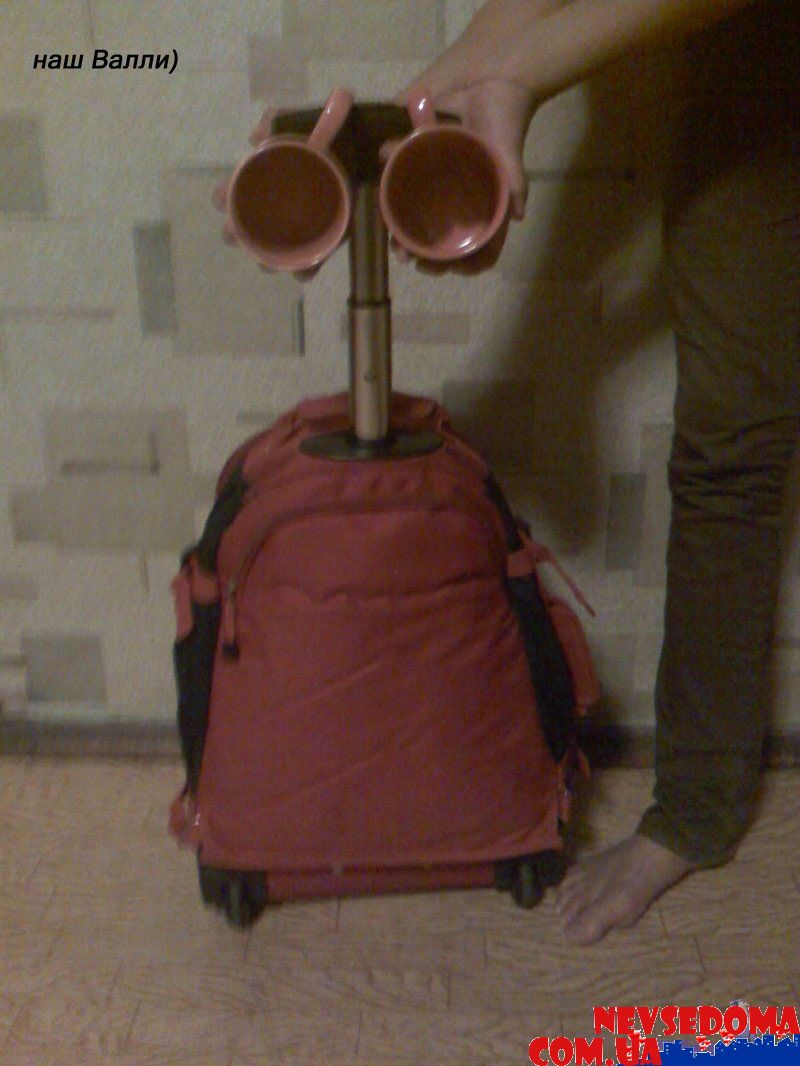 прислал - pale