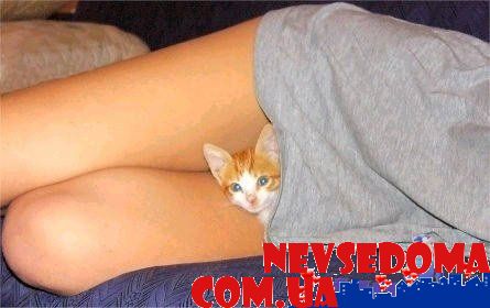 прислал - pasha3