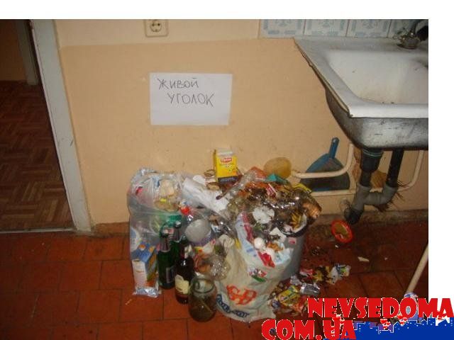 прислал - romeo1