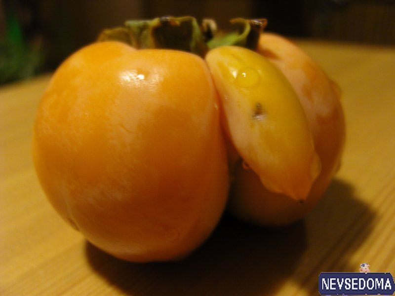 прислал - bort