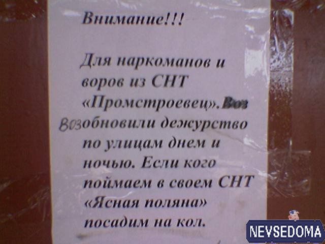 прислал - brylins