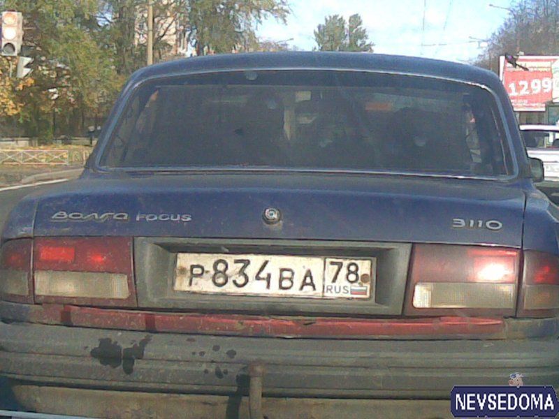 прислал - bugs