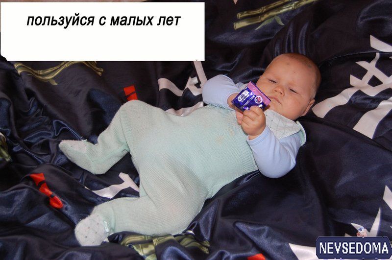 прислал - inspektor