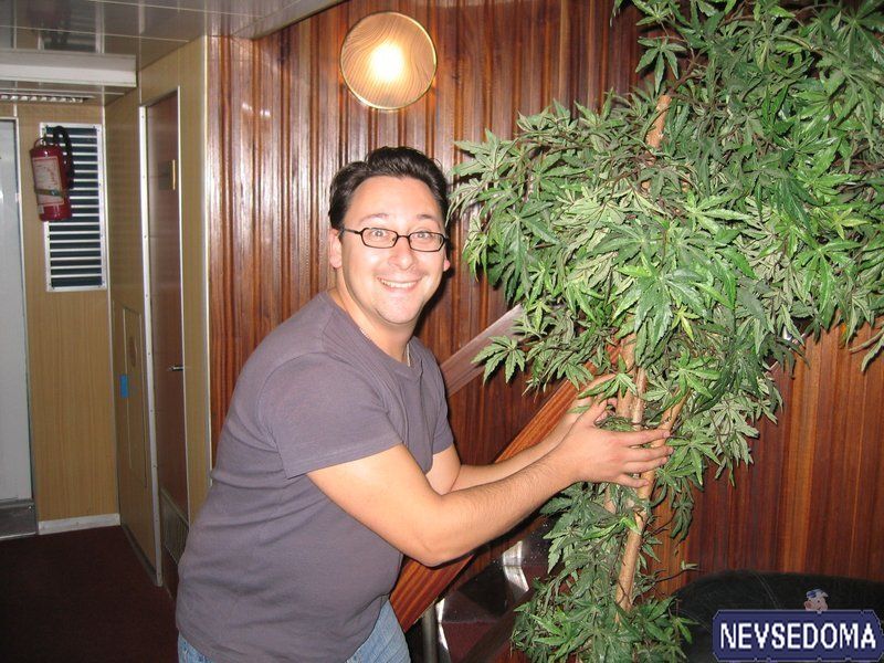 прислал - jj1