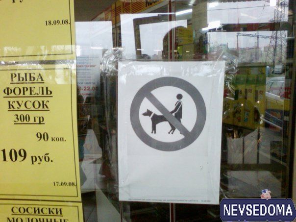 прислал - zek