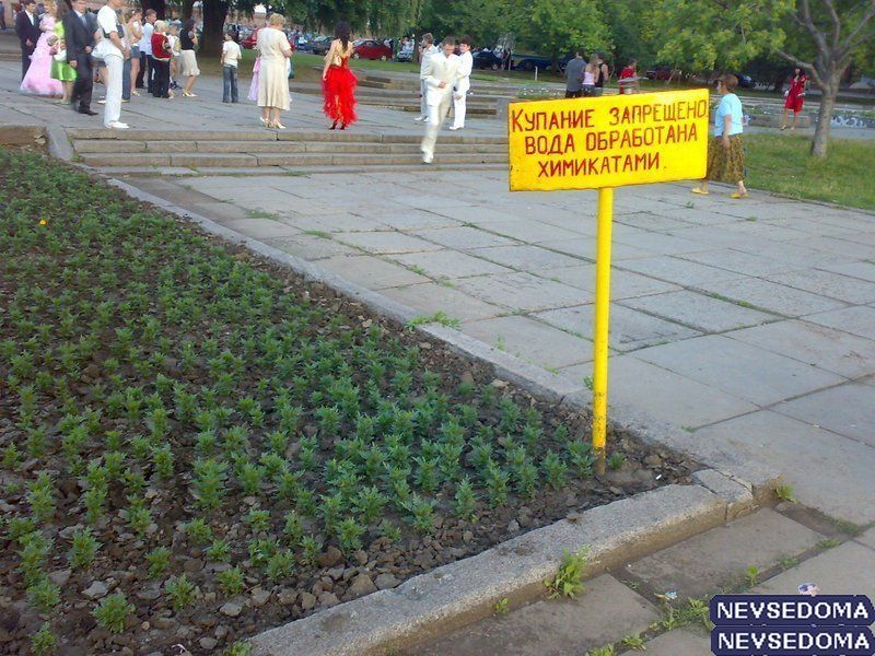 прислал - brimmerberg прислал - brimmerberg