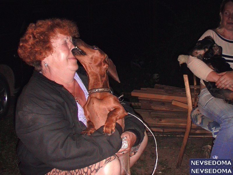 прислал - korg прислал - korg