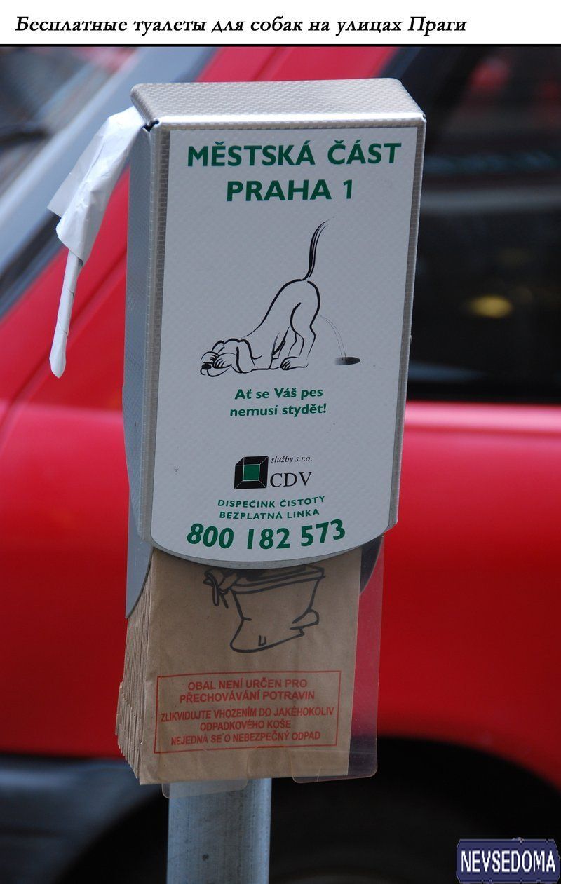 прислал - dima прислал - dima