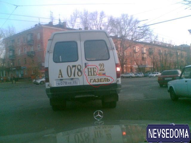 прислал - dlord