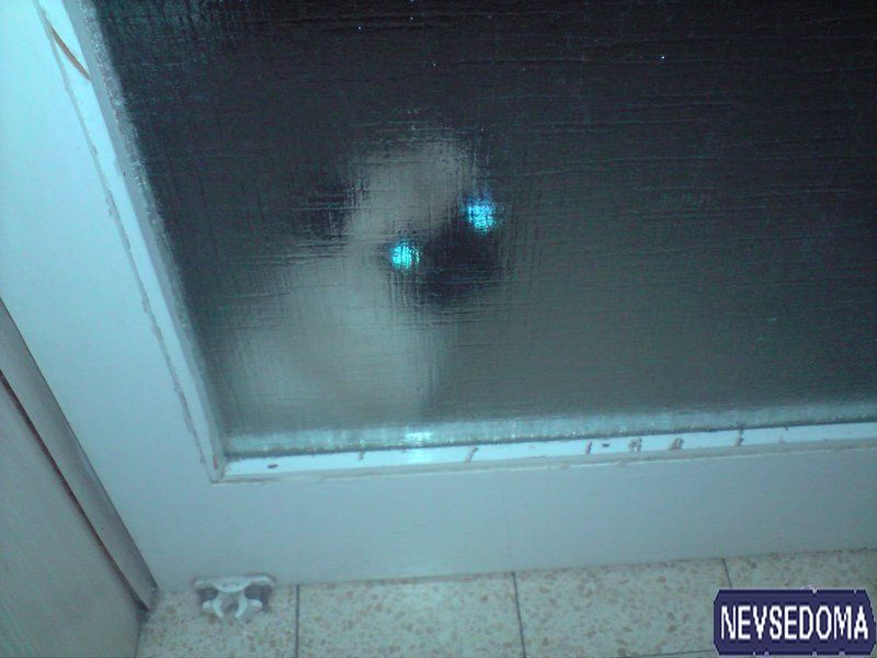 прислал - kolia