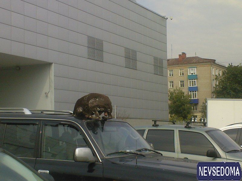 прислал - shake2 прислал - shake2