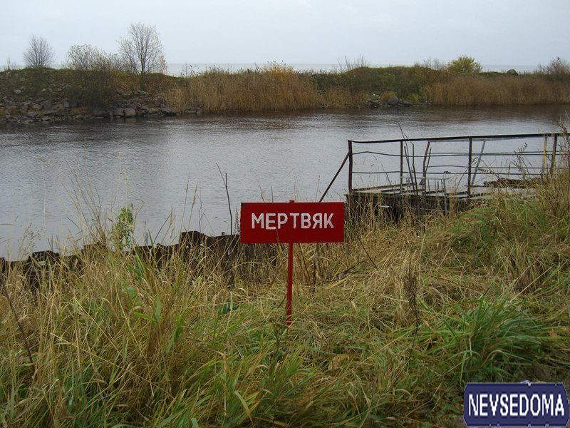 прислал - xxx прислал - xxx