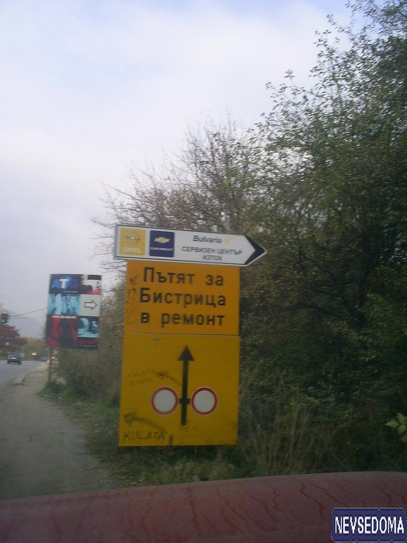 прислал - cino