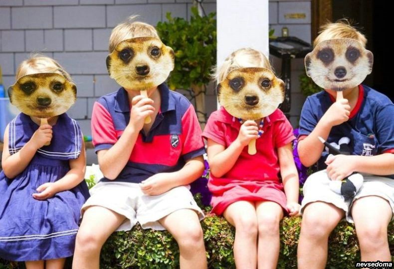 прикольные картинки