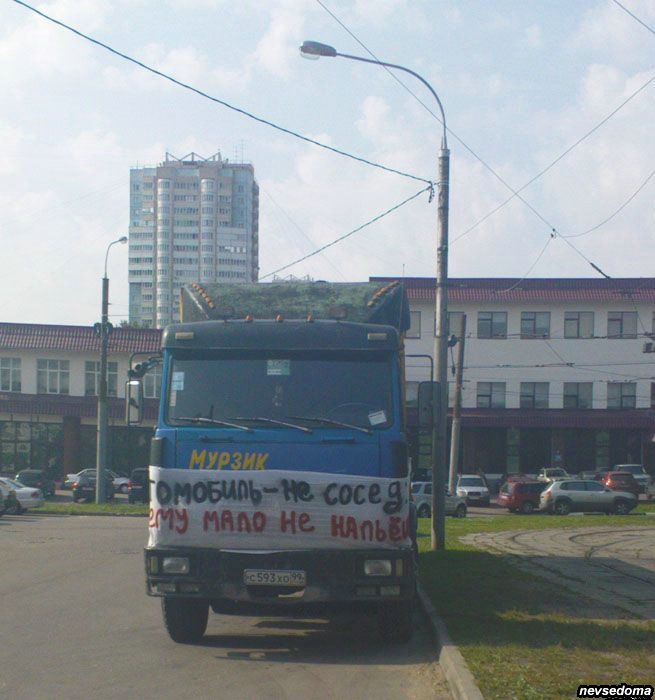 прикольные картинки