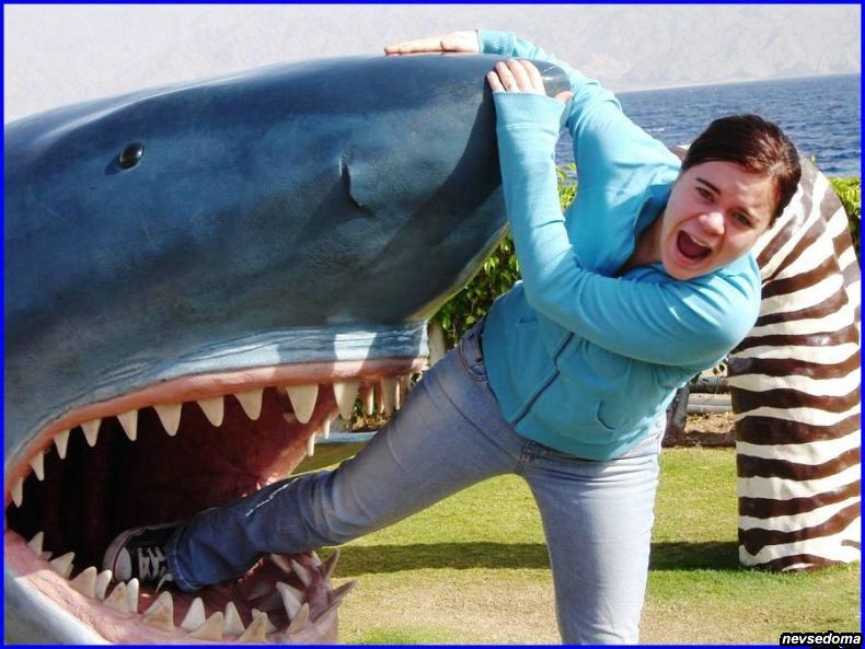 прикольные картинки