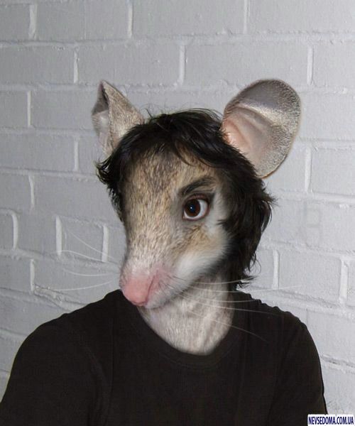 прикольные картинки