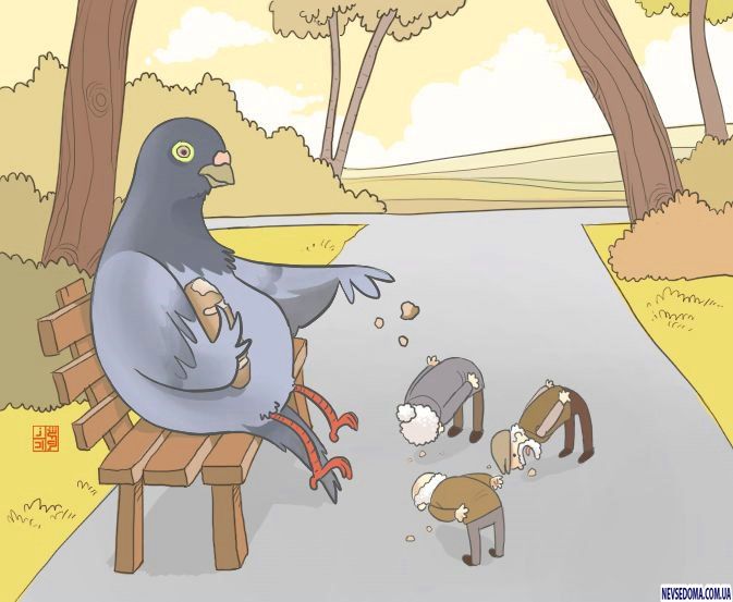 прикольные картинки