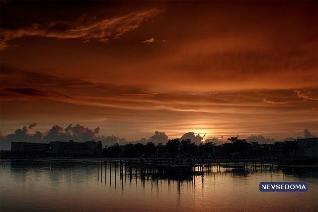 Прикольные картинки (68 штук)