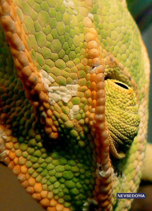 Прикольные картинки (68 штук)