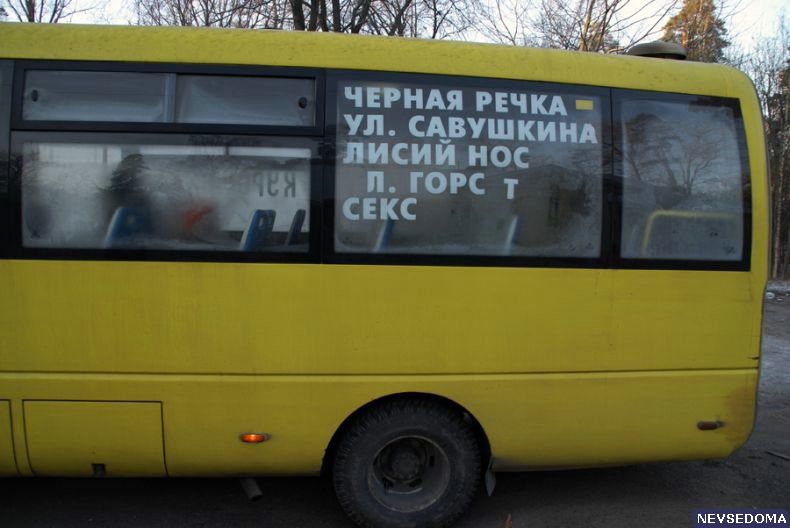 Прикольные картинки 18+ Выпуск 206