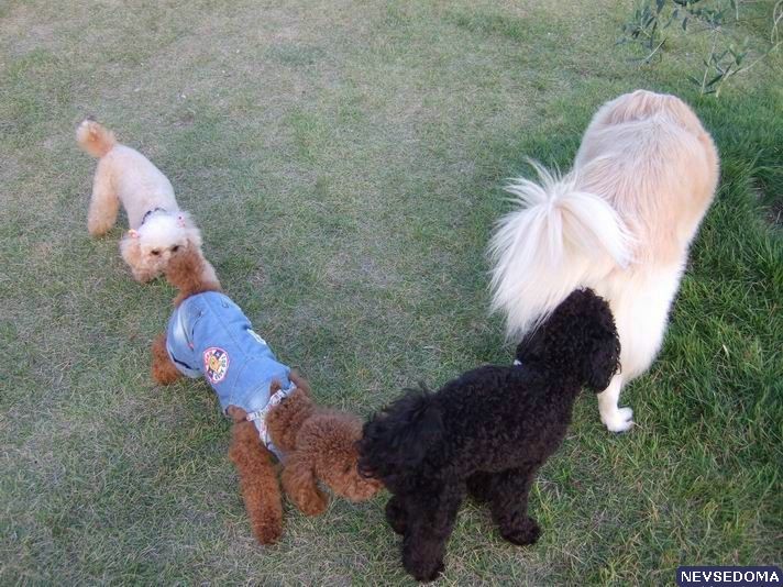 Прикольные картинки 18+ Выпуск 206