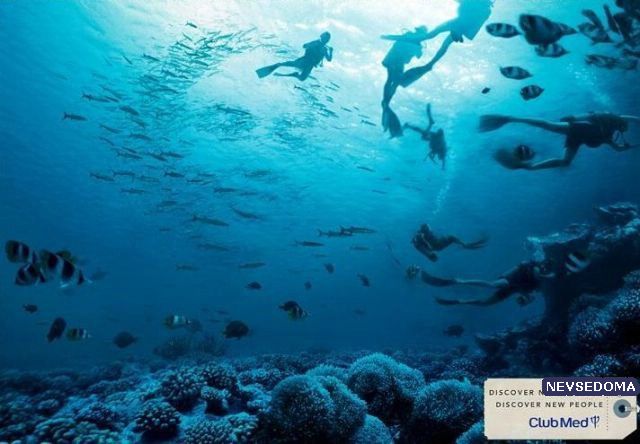 Прикольные картинки 18+ Выпуск 206