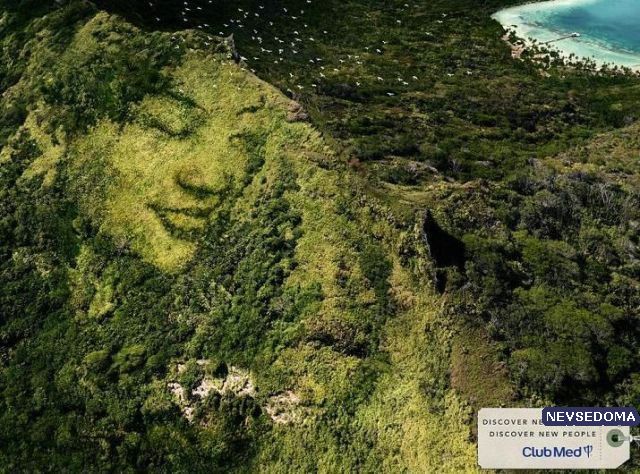 Прикольные картинки 18+ Выпуск 206