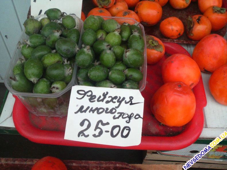 Присланное (32 фото)