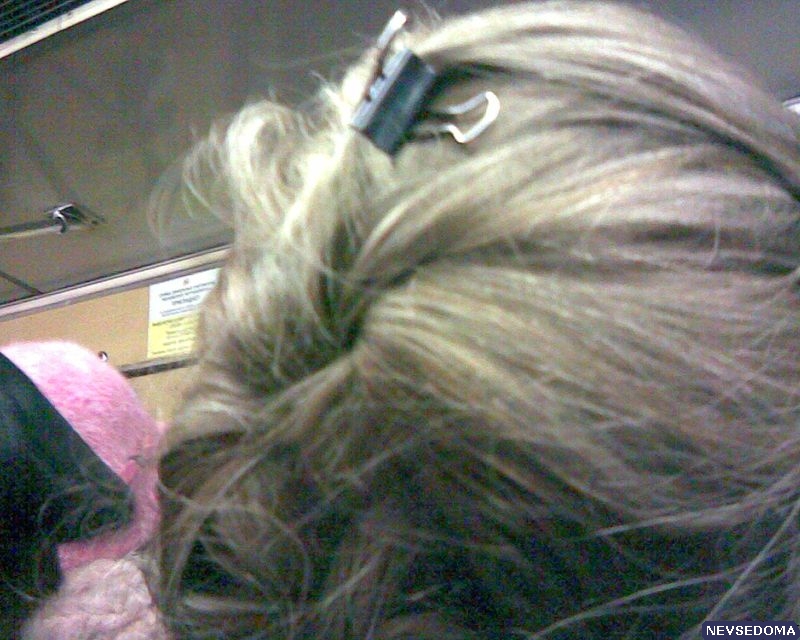 прислал - birdOFFprey